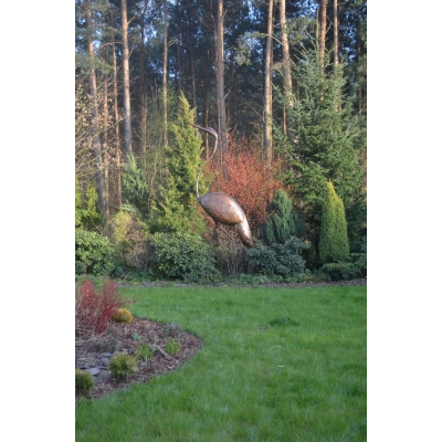 Czapla 265 cm